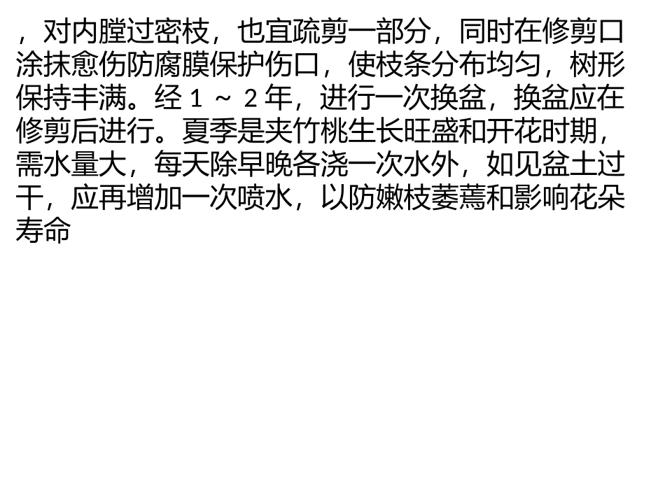 夹竹桃种植栽培与管理方法_第2页
