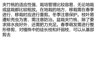 夹竹桃种植栽培与管理方法
