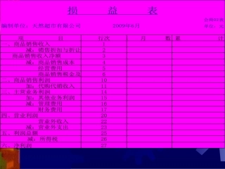 损益表格式及各项目的含义和计算