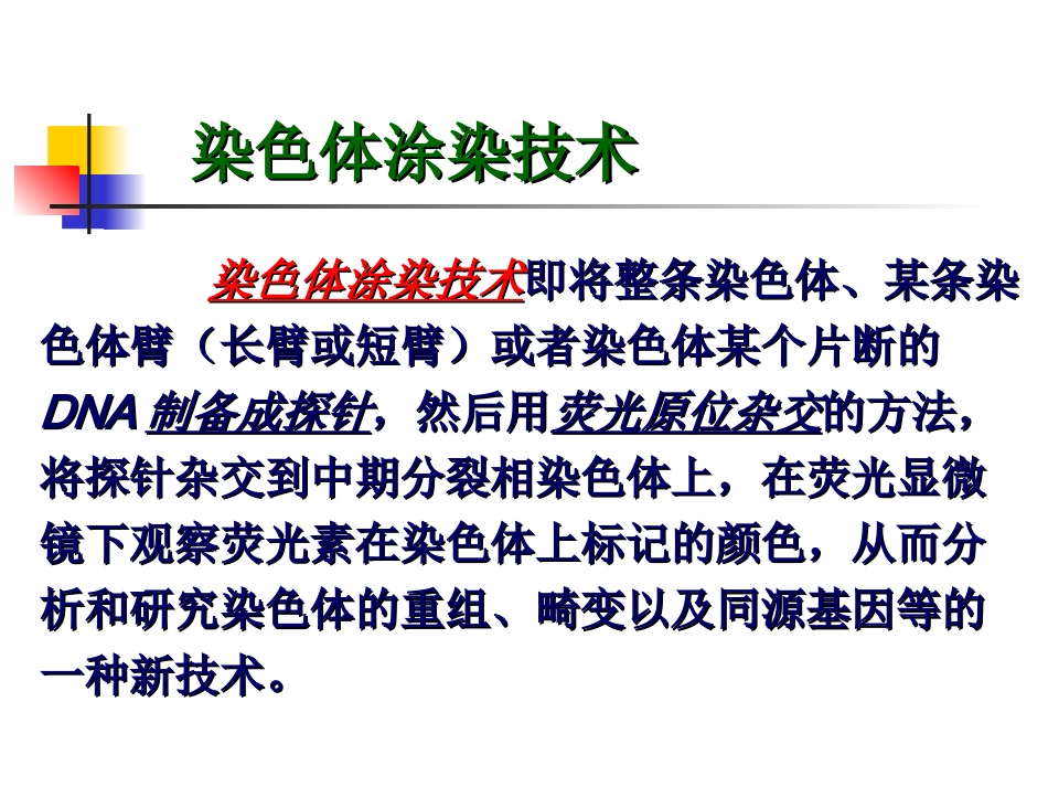 染色体涂染技术_第2页