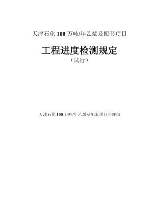 天津乙烯及配套项目进度检测规定