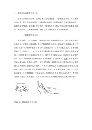 实验动物的抓取固定方法