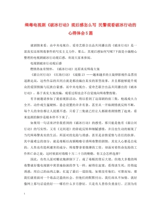 缉毒电视剧《破冰行动》观后感怎么写 民警观看破冰行动的心得体会5篇 