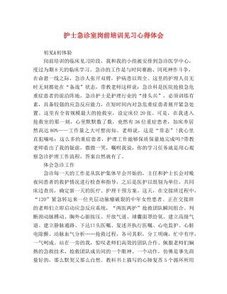 护士急诊室岗前培训见习心得体会 
