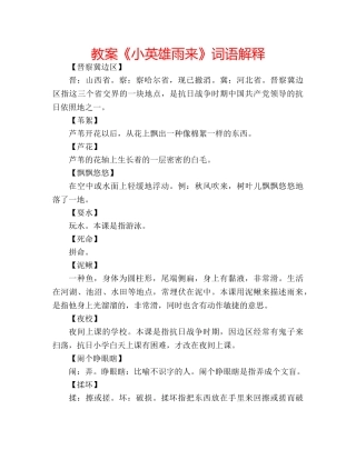 教案《小英雄雨来》词语解释 