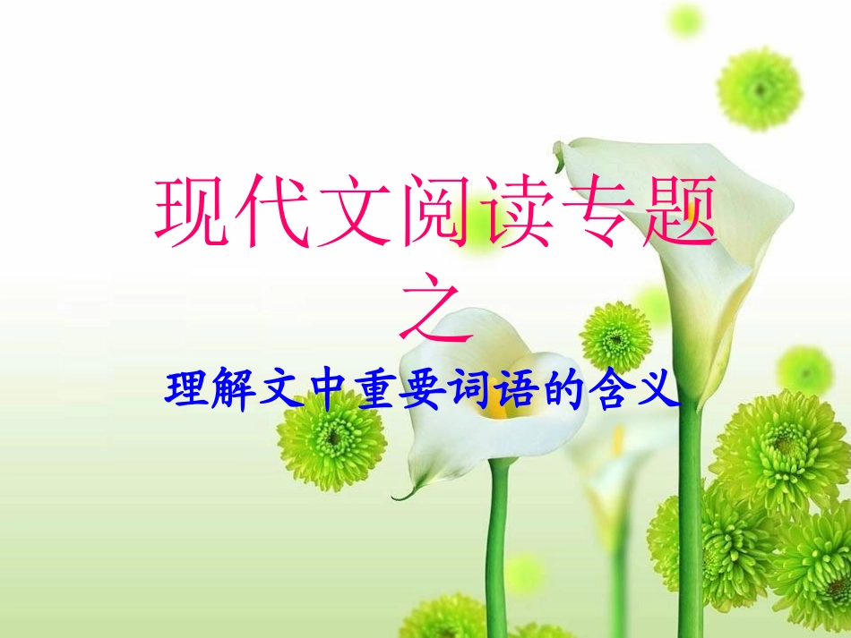 现代文阅读专题(一)_第1页