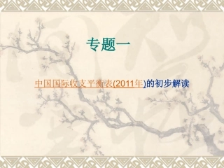 专题一 中国国际收支平衡表(2011年)的初步解读