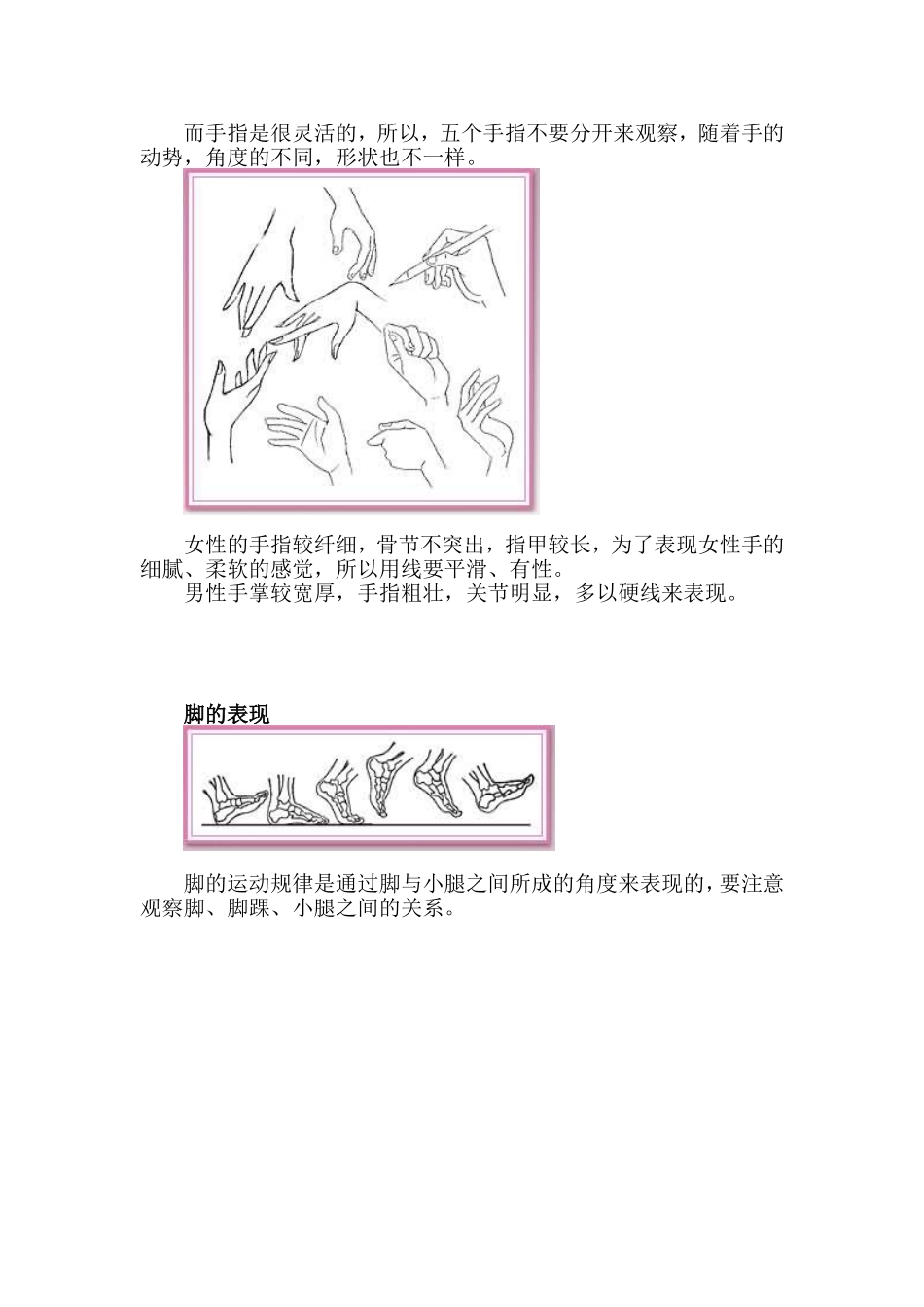 卡通人物手脚的绘画方法和技巧_第3页