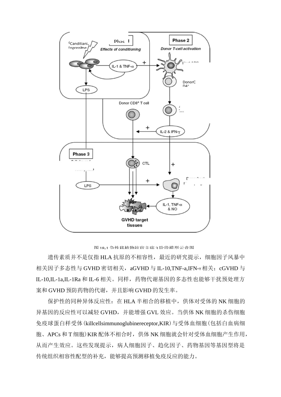 移植物抗宿主病_第3页