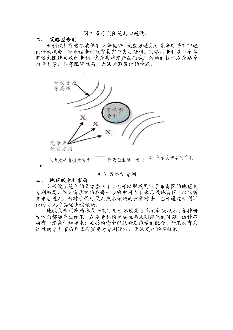专利布局的典型模式_第2页