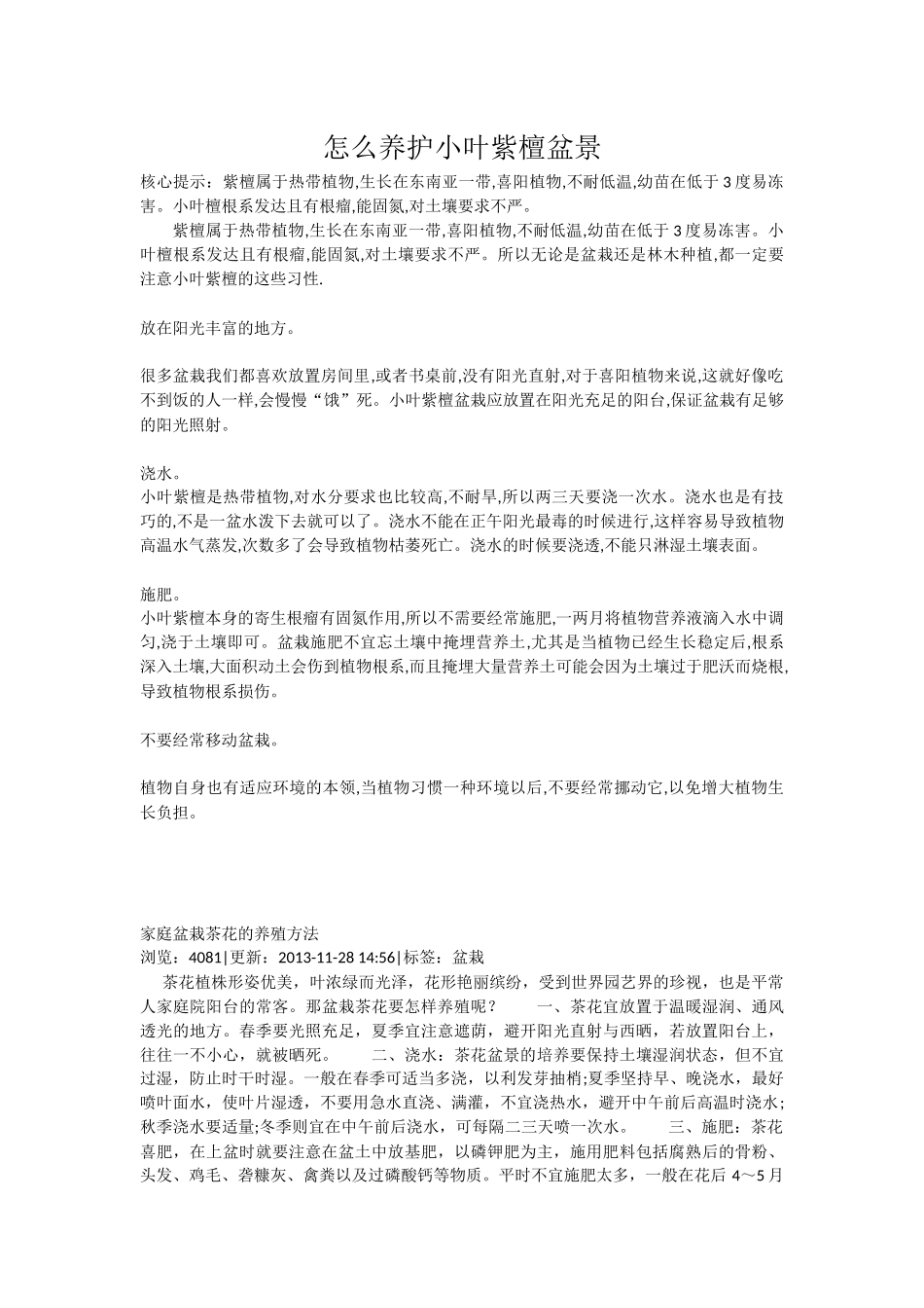 怎么养护小叶紫檀盆景_第1页