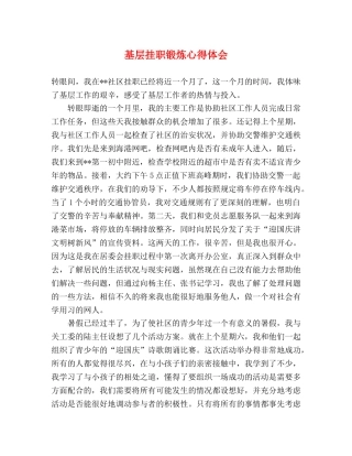 基层挂职锻炼心得体会 