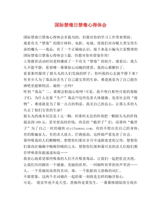 国际禁毒日禁毒心得体会 