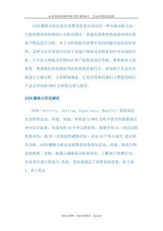 市场分析方法LV2 ASEB栅格分析法