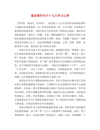 基层领导关于十七大学习心得 