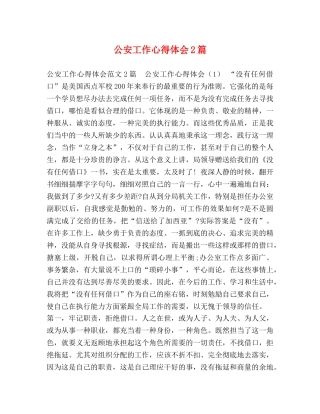 化学试题-公安工作心得体会2篇 