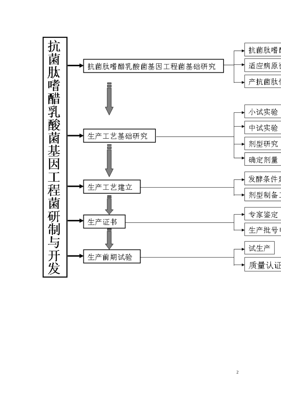 技术路线写法_第2页