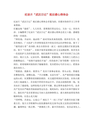 纪录片“武汉日记”观后感心得体会 