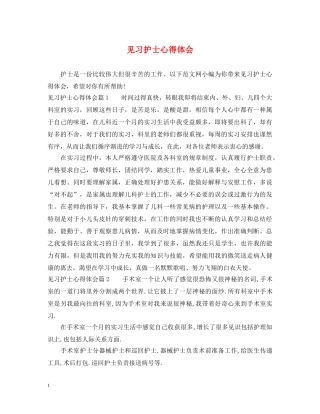 见习护士心得体会 