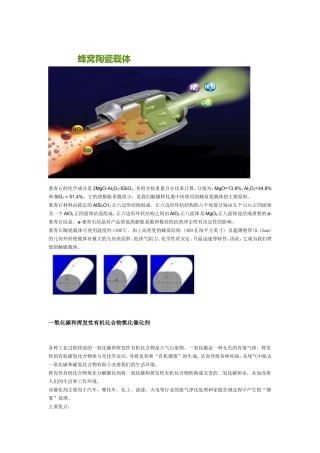 蜂窝陶瓷载体