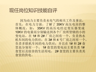 现任岗位知识技能自评