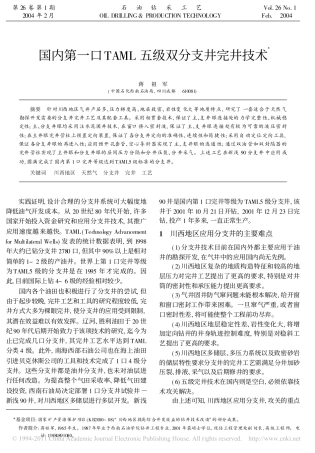 国内第一口TAML五级双分支井完井技术