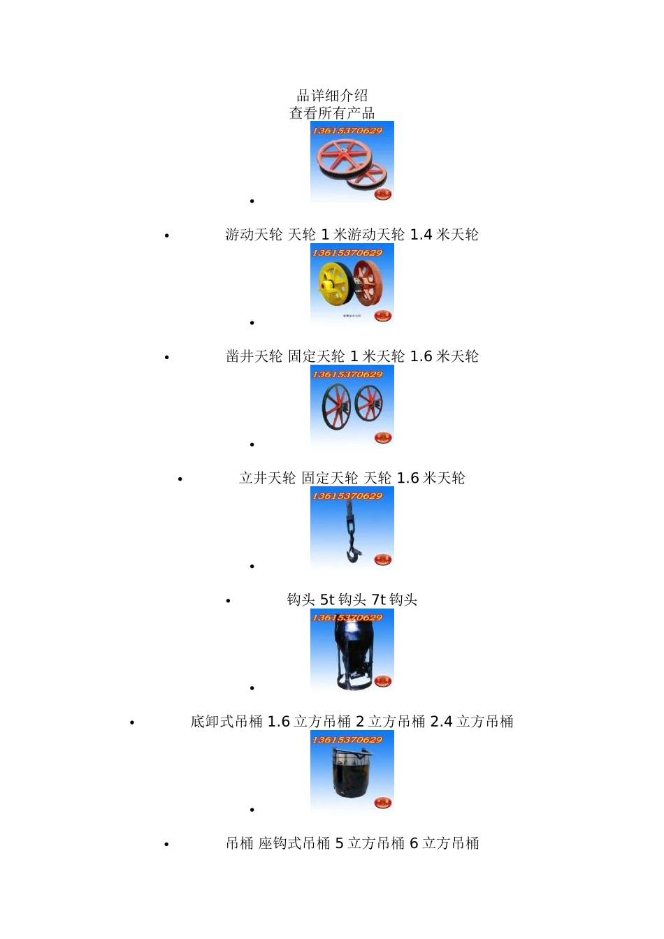 天轮产品详细介绍_第1页