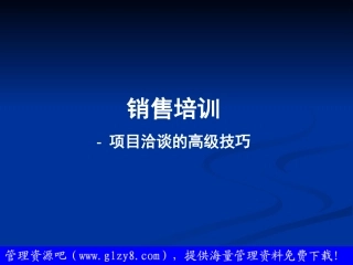 项目洽谈的高级技巧