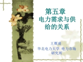 第五章 电力需求与供给的关系