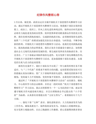 纪律作风整顿心得 