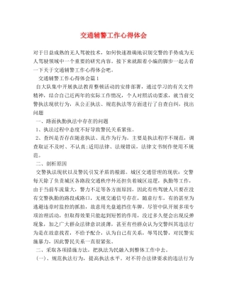 交通辅警工作心得体会 