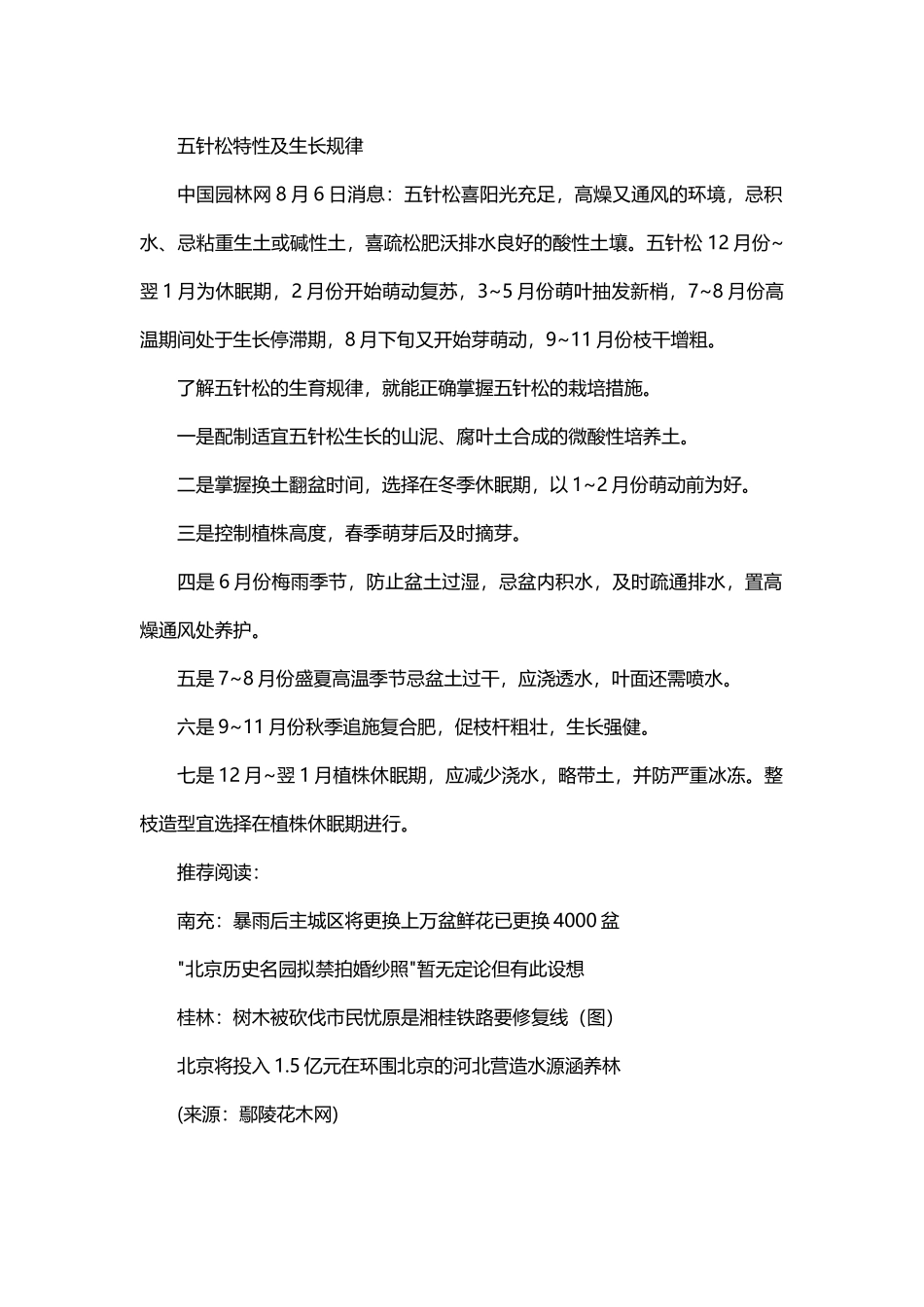 五针松特性及生长规律_第1页