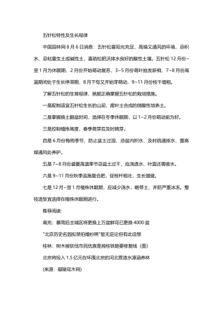 五针松特性及生长规律