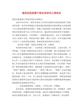 基层纪检监察干部业务培训心得体会 