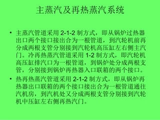 主再热蒸汽系统课件