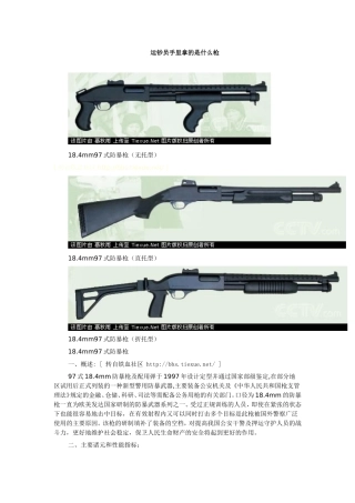 押运员手持武器介绍