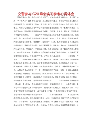 交警参与G20峰会实习参考心得体会 