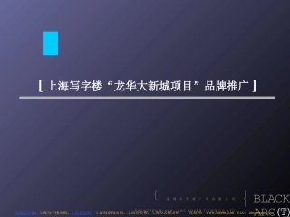 上海写字楼“龙华大新城项目”品牌推广