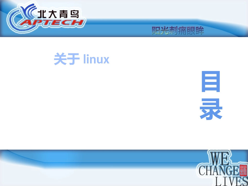 如何硬盘安装linux实现多操作系统_第2页