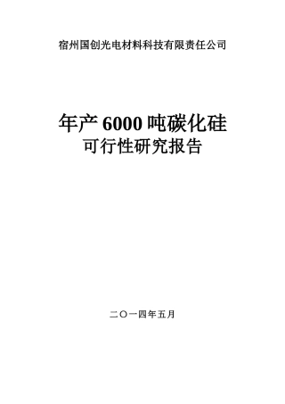 年产碳化硅6000吨项目