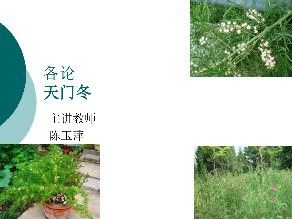 天门冬.ppt_第1页