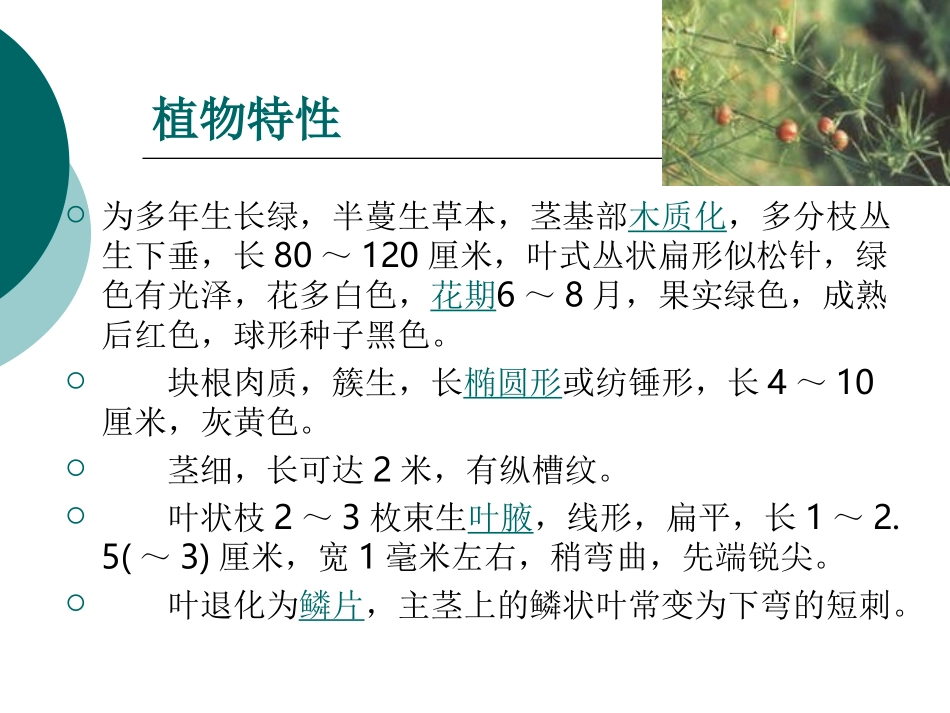 天门冬.ppt_第3页