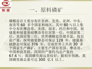 湖北东圣化工集团有限公司磷铵工艺
