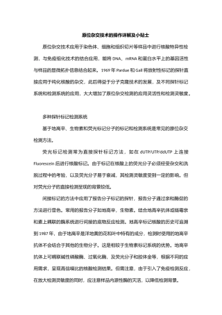原位杂交技术的操作详解及小贴士