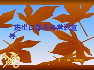 进出口部流程简介