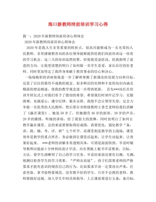 海口新教师岗前培训学习心得 