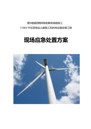 现场应急处置方案