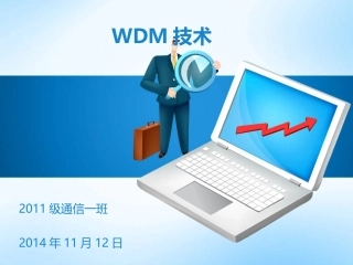 光纤wdm技术