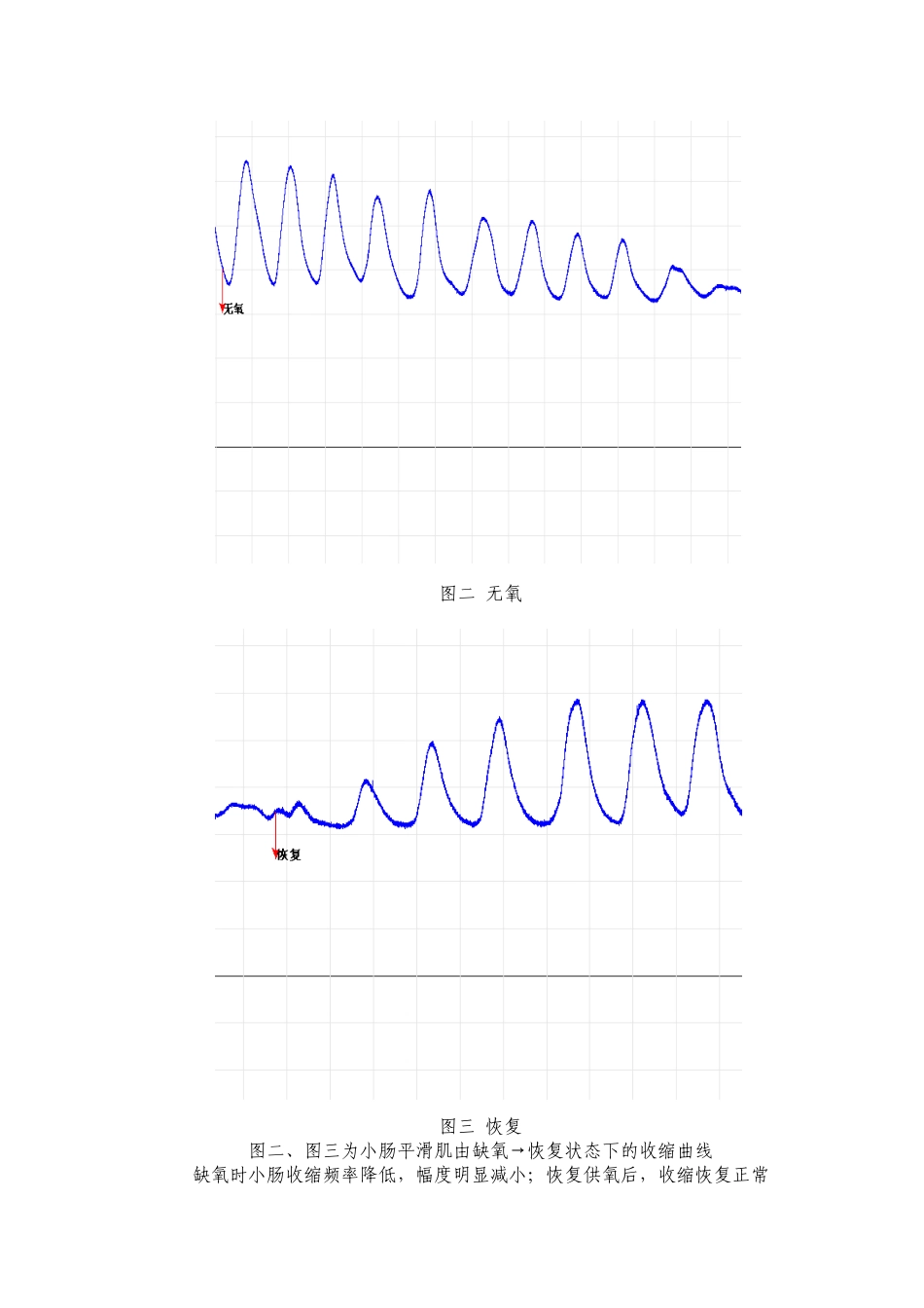 离休小肠平滑肌的生理特性_第2页