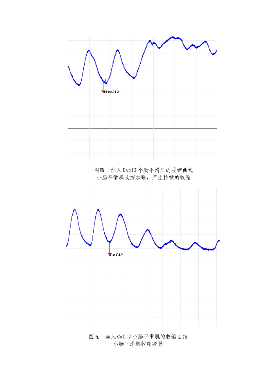 离休小肠平滑肌的生理特性_第3页